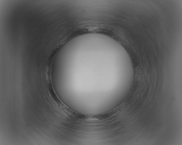 X0000074230650200608250817