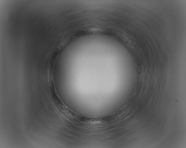 X0000074230651200608250817