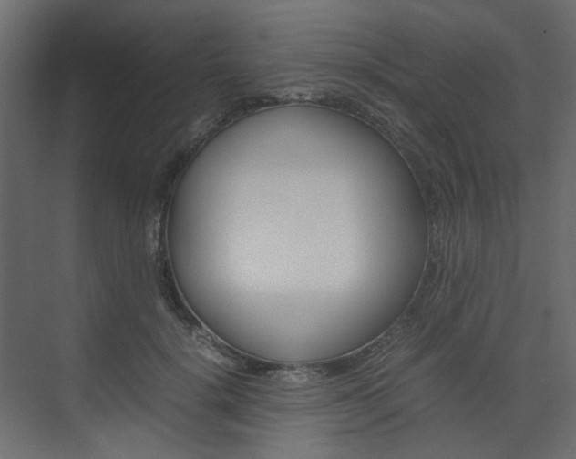X0000074230652200608250817