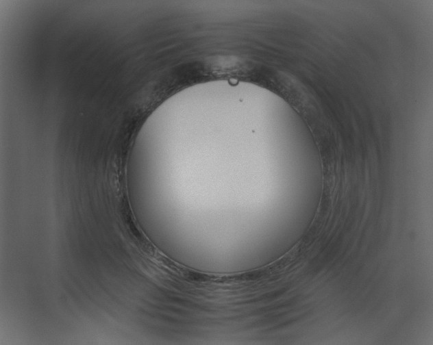 X0000074230653200608250817