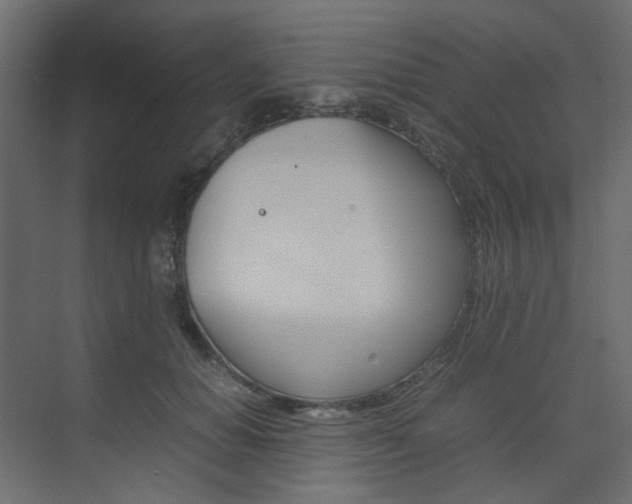 X0000074230654200608250817
