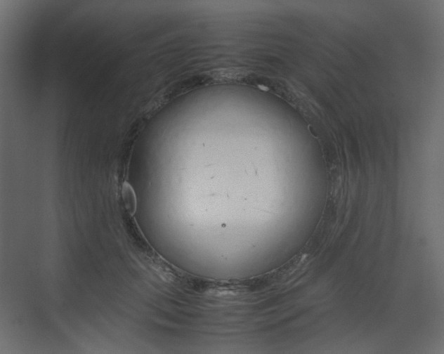 X0000074230655200608250817