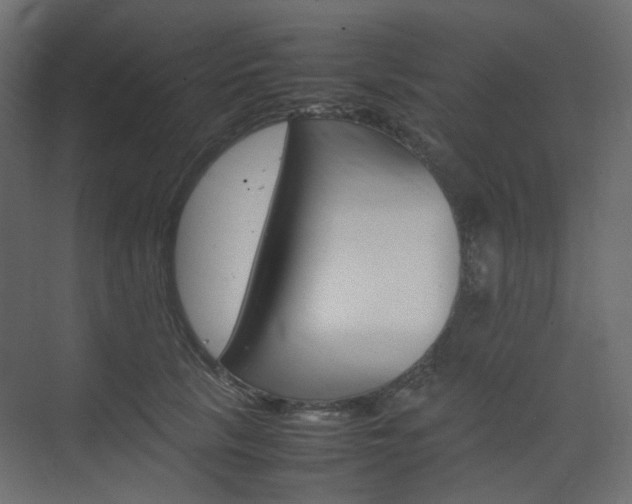 X0000074230657200608250817