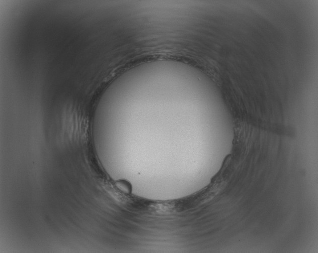 X0000074230660200608250817
