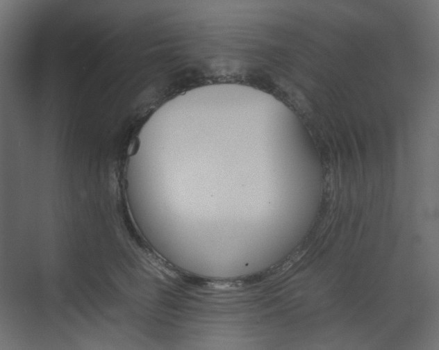 X0000074230662200608250818