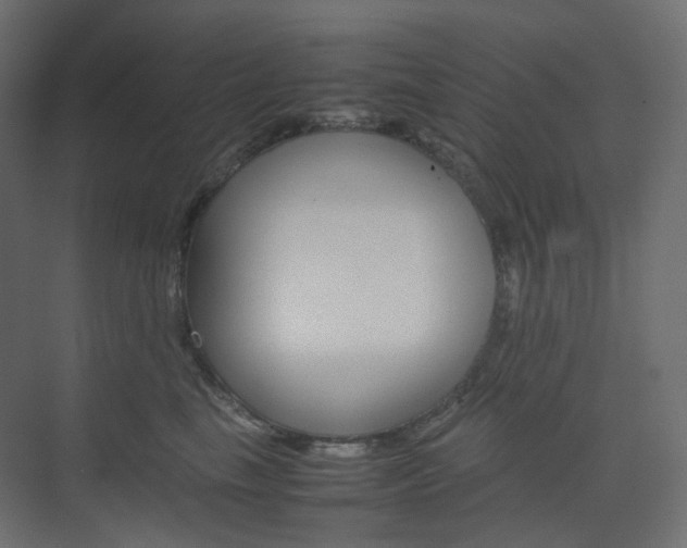 X0000074230665200608250818