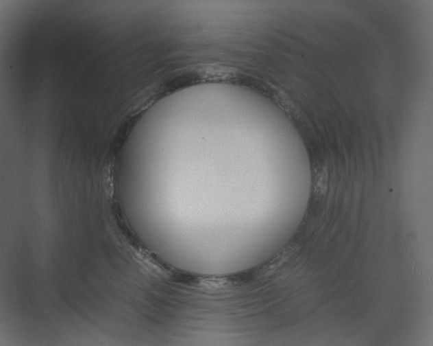 X0000074230666200608250818