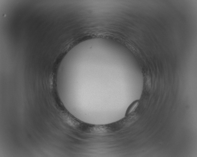 X0000074230668200608250818