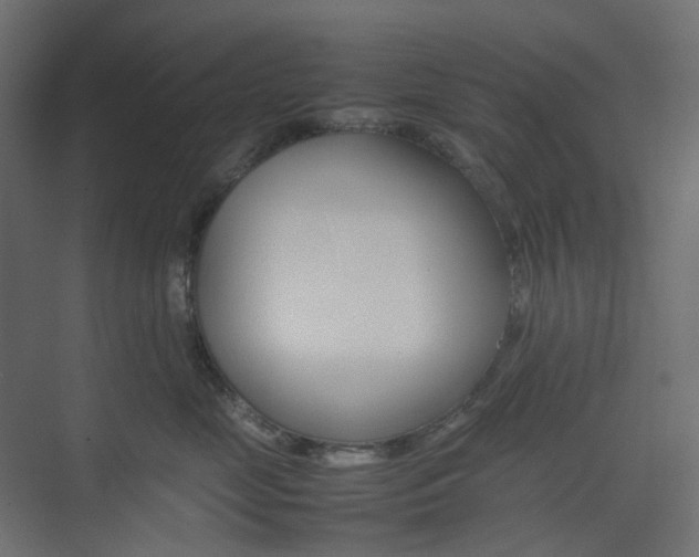 X0000074230669200608250818