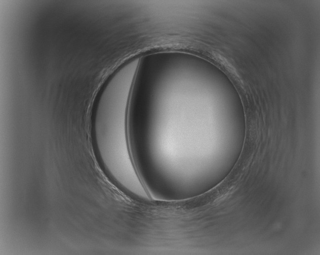 X0000074230673200608250817