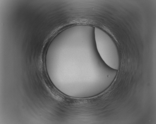 X0000074230674200608250817