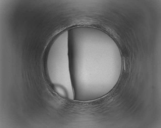 X0000074230675200608250817