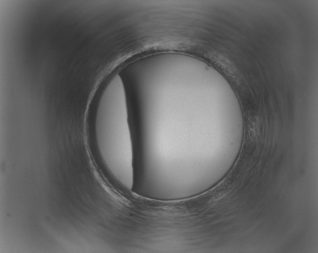 X0000074230678200608250817