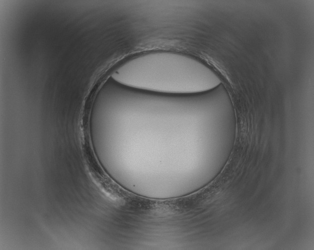 X0000074230682200608250817