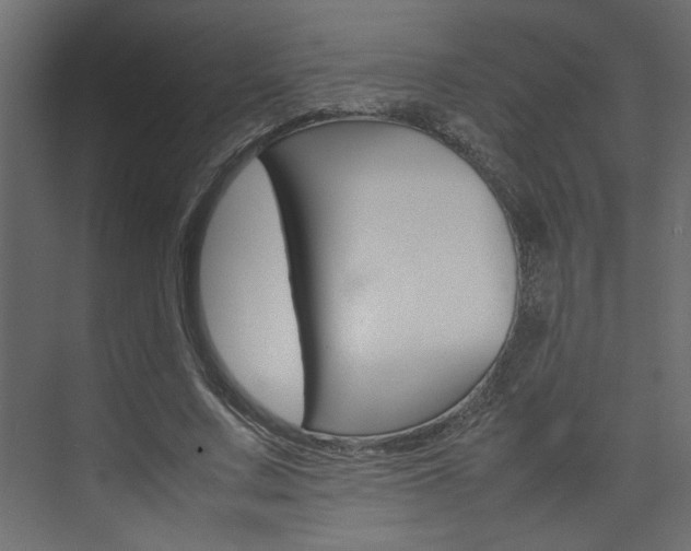 X0000074230683200608250817
