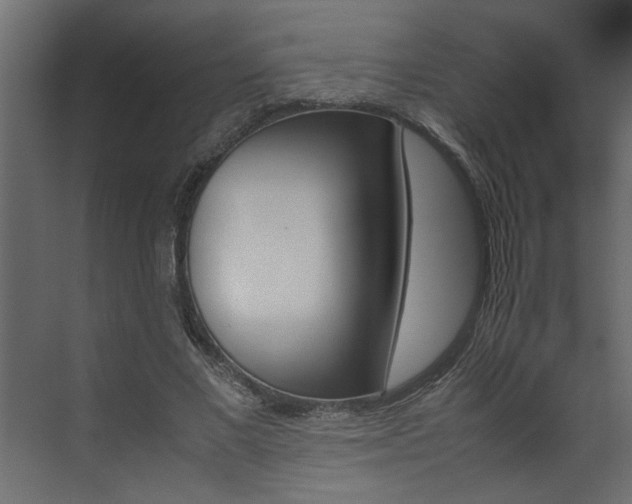 X0000074230685200608250817