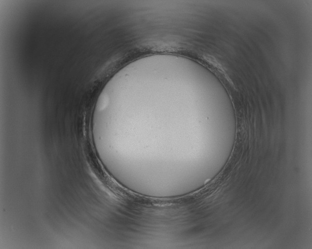 X0000074230686200608250817
