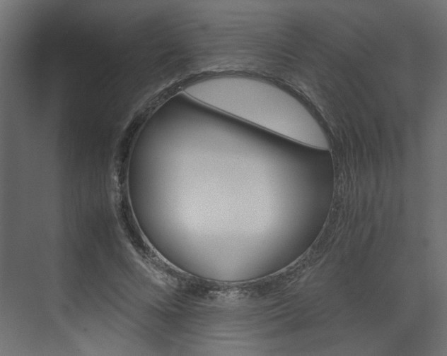 X0000074230688200608250817