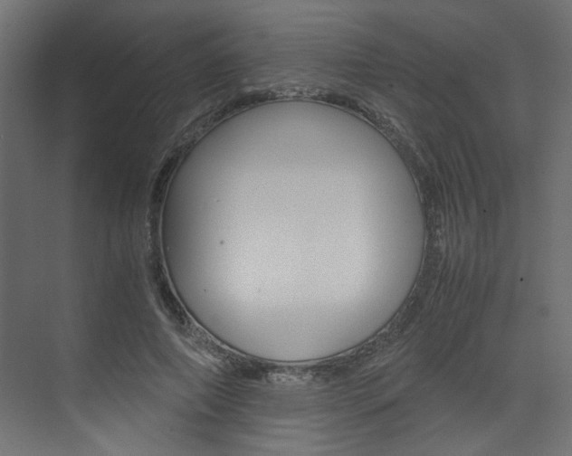 X0000074230690200608250817