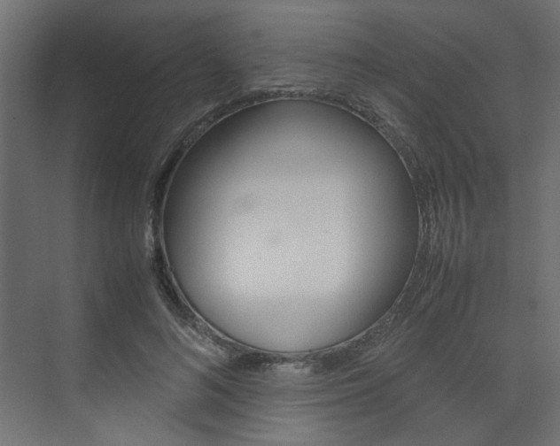 X0000074230692200608250817