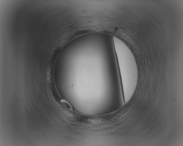 X0000074230693200608250817