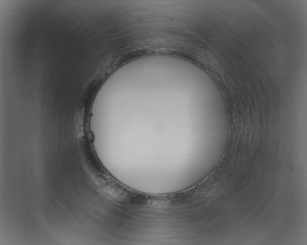 X0000074230694200608250817