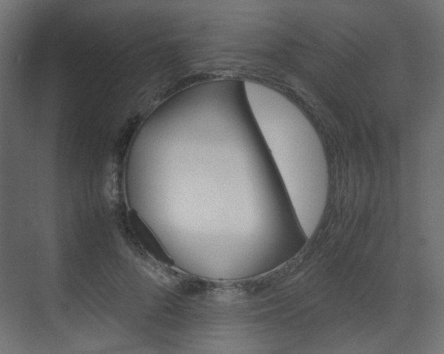 X0000074230696200608250817