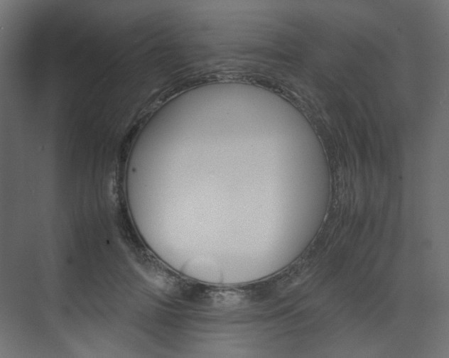 X0000074230698200608250816