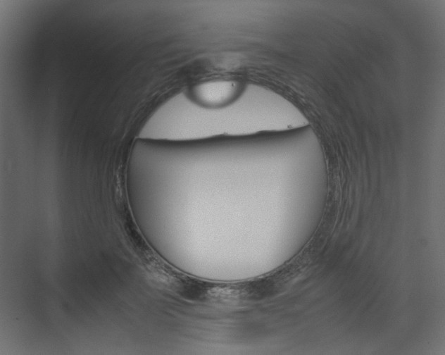X0000074230699200608250816