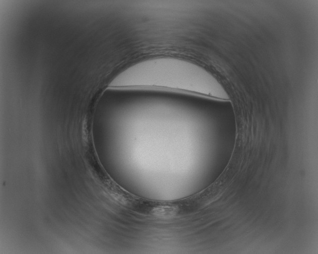 X0000074230700200608250816