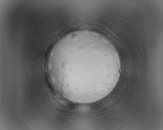 X0000074230702200608250816