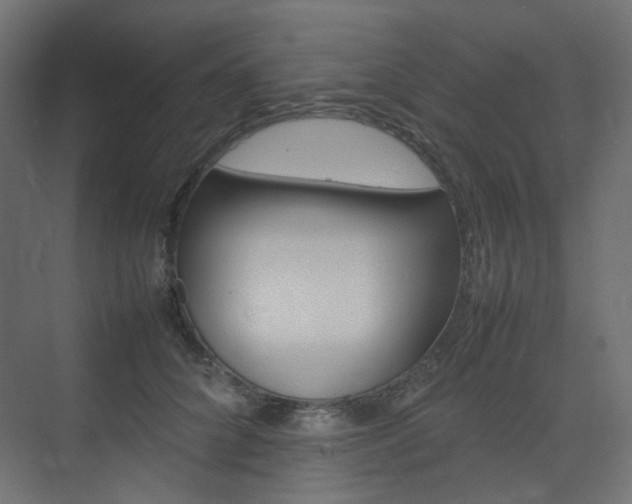 X0000074230704200608250816