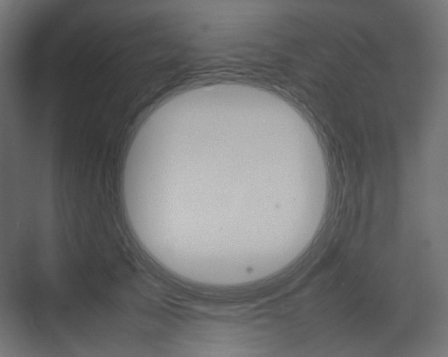 X0000074230705200608250816