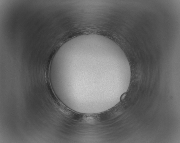 X0000074230706200608250816