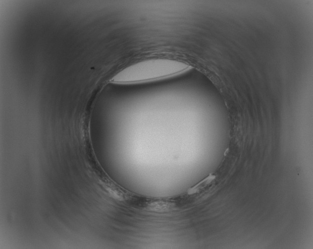 X0000074230708200608250816