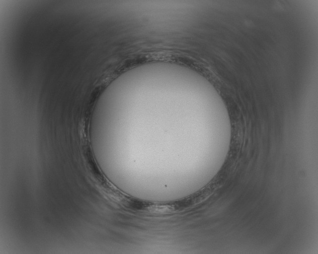 X0000074230711200608250816