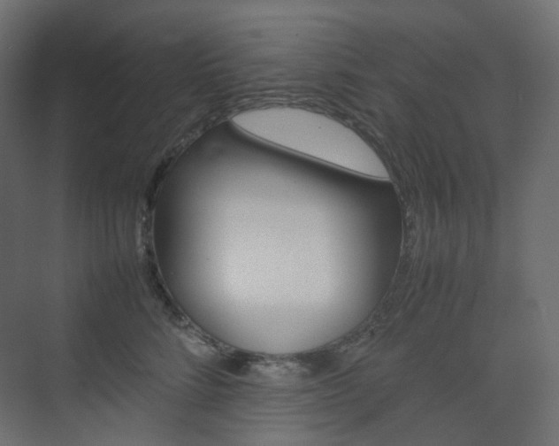 X0000074230712200608250816