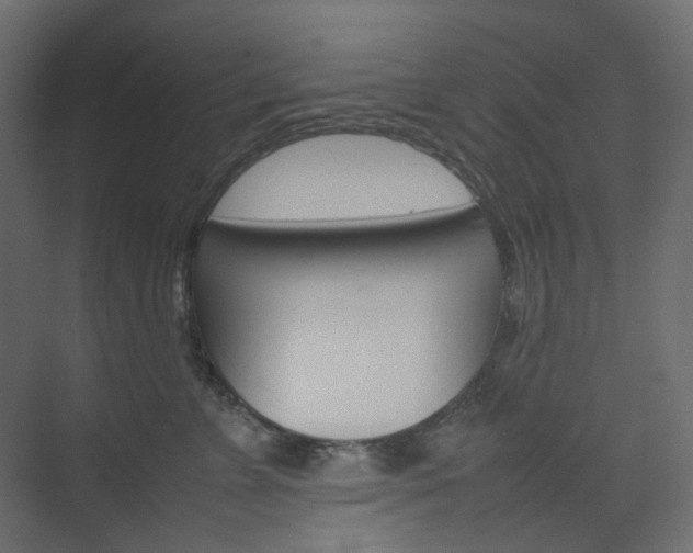 X0000074230715200608250816
