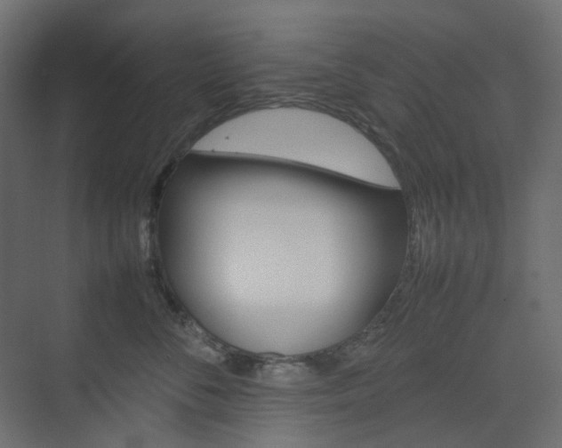 X0000074230716200608250816