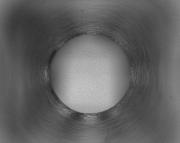 X0000074230718200608250816
