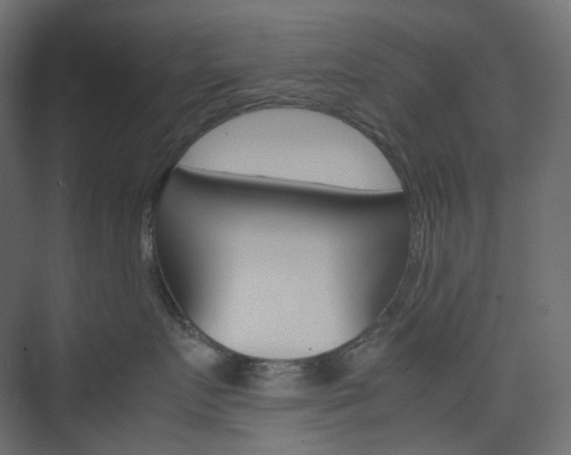 X0000074230719200608250816