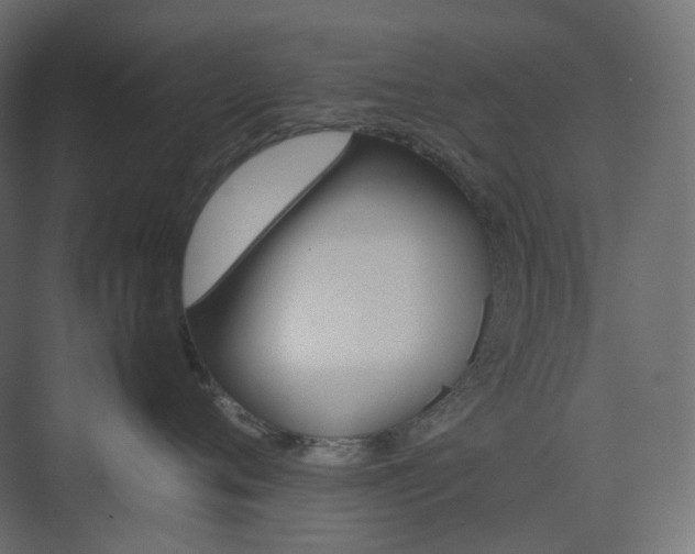 X0000074230720200608250816