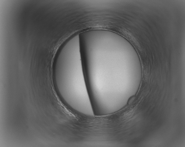 X0000074230721200608250815