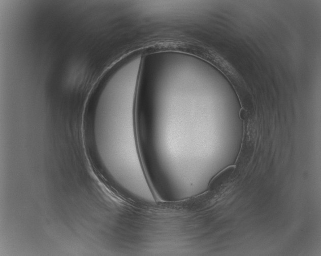 X0000074230722200608250815