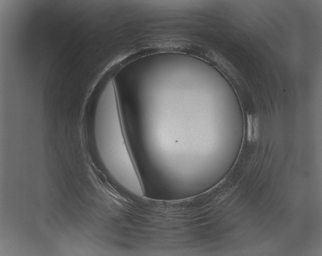 X0000074230723200608250815