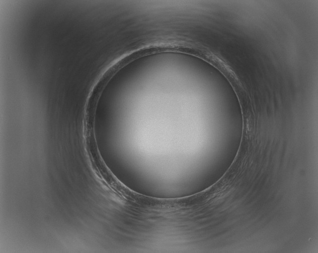 X0000074230724200608250815