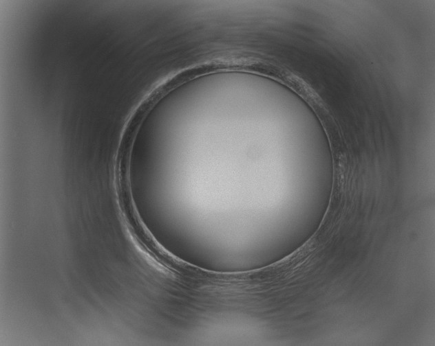 X0000074230726200608250815
