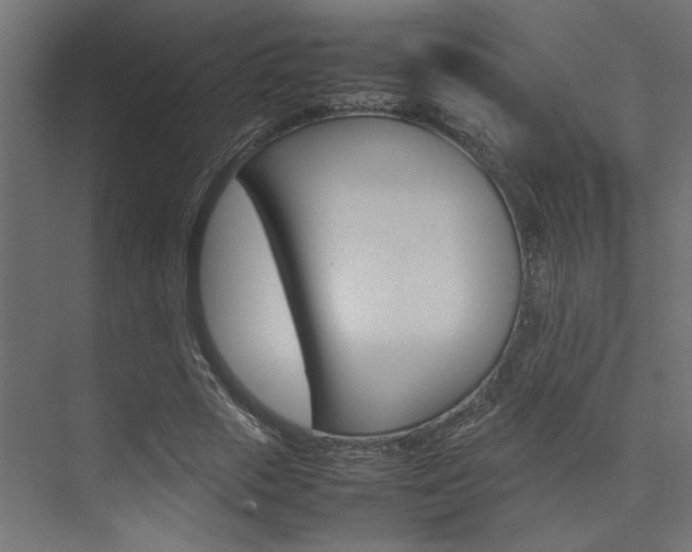 X0000074230729200608250815