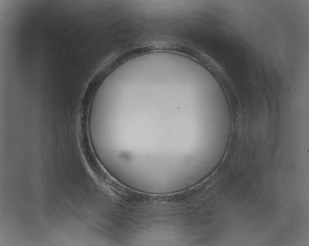 X0000074230730200608250815