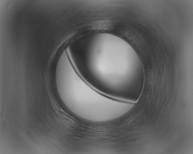 X0000074230731200608250815